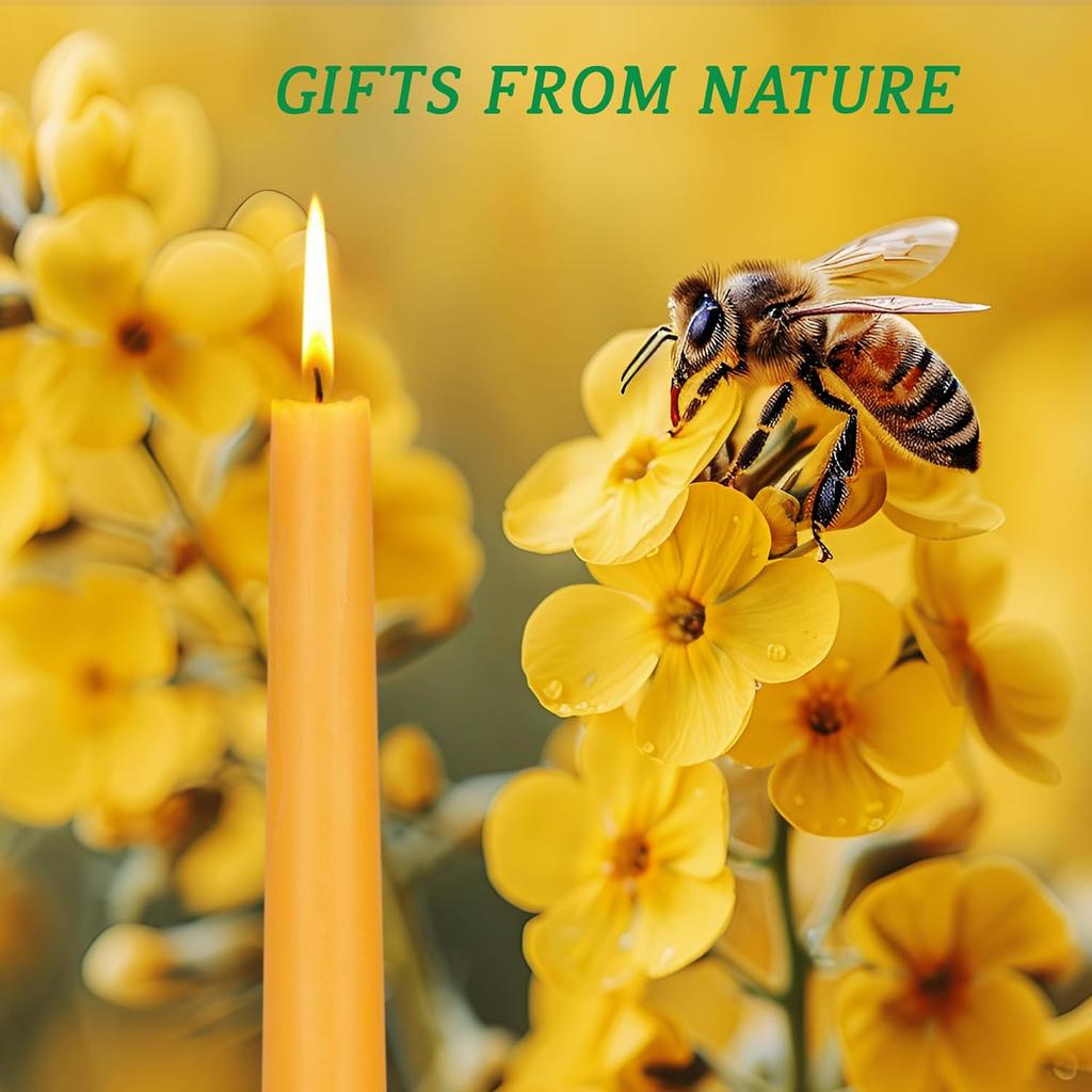 Beeswax Taper Candles, 8" 12Pack Natural Bees Wax Candle - Smokeless, Dripless & Unscented Tapered Candles - 8 Hours Long Burning Time for Home Decor
