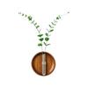 Minimalist Wall Hydroponic Vase Solid Wood Oval Tube Wall Vase Hanging Plant Panel  Home Decor