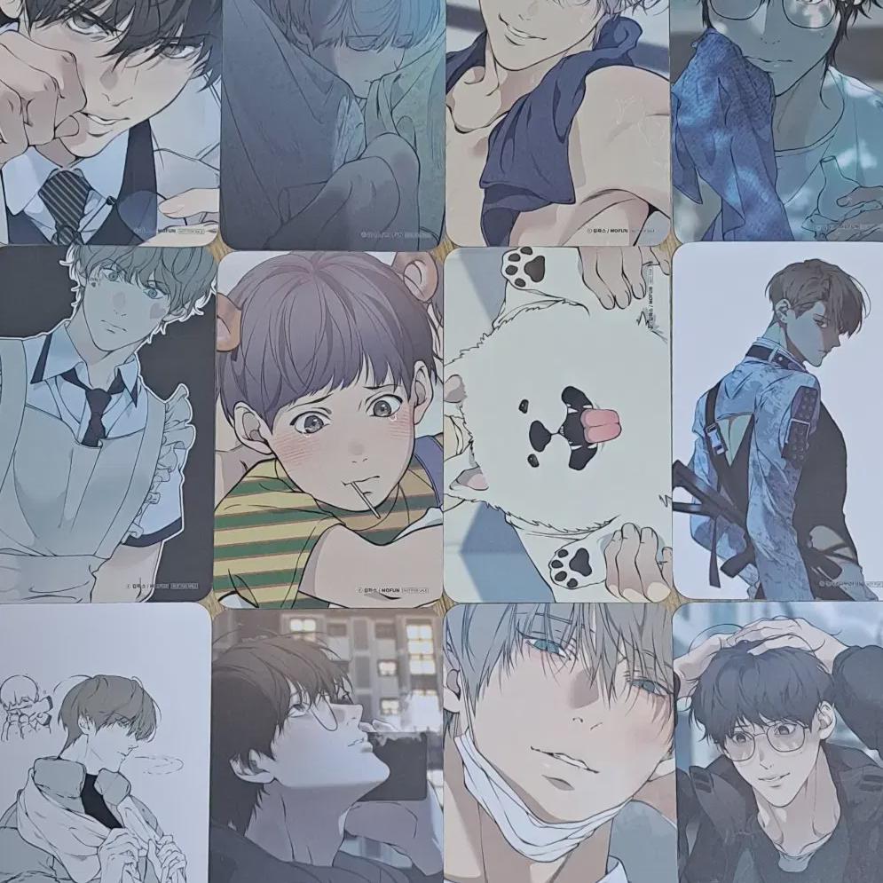 

Посетите Mofun Cloud, чтобы продавать фотокарточки Foca Bangpo