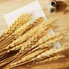 Set of 50 Premium Natural Dried Wheat Flowers for Decoration, Perfect for DIY Floral Arrangements, Ideal for Farmhouse Decor, Centerpiece for Tables