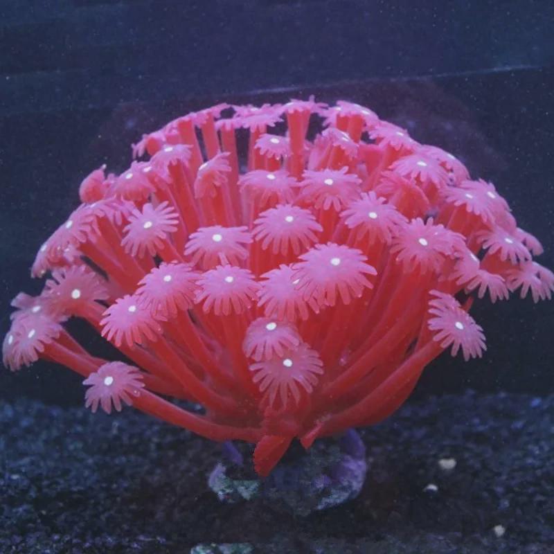 „Künstliche Korallenriff-Dekoration für Aquarien – Weichkorallenbaum für Fischbecken, Unterwasserlandschaften und Fisch-/Garnelenverstecke“