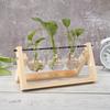 Glass and Wood Vase Planter Terrarium Table Desktop Hydroponics Tray Home Decor Plant Bonsai Flower Pot Hanging Pots with Wooden
