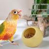 Anti-Bite Ceramic Bird & Parrot Food Bowl