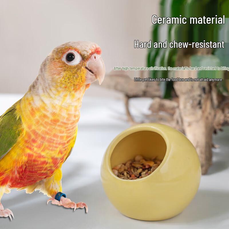 Anti-Bite Ceramic Bird & Parrot Food Bowl