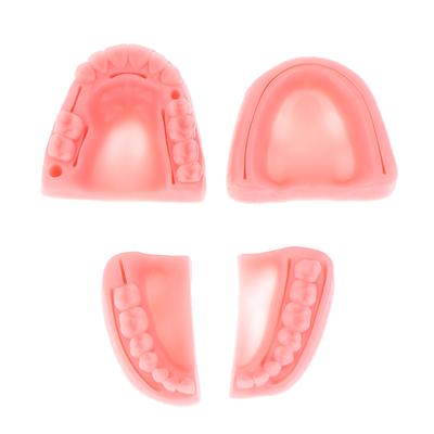 4 Stücke Dental Simulation Oral Naht Modell Gum Naht Lehre Ausbildung Ausrüstung