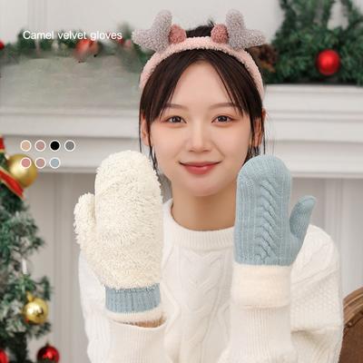 New Plush Thickened Warm Gloves with Fingers Double Layer Thickened Gloves Windproof Cute Korean Style Camel Velvet Gloves