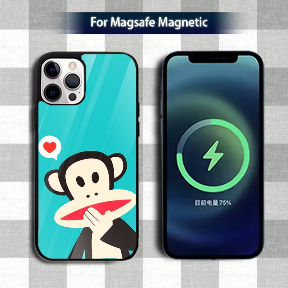 Famous P-Paul F-FrankS Phone Case For iPhone 13,12,15,17,11,16,14,Pro,Max,Plus,Mini,Magsafe,Magnetic Wireless Charging Case