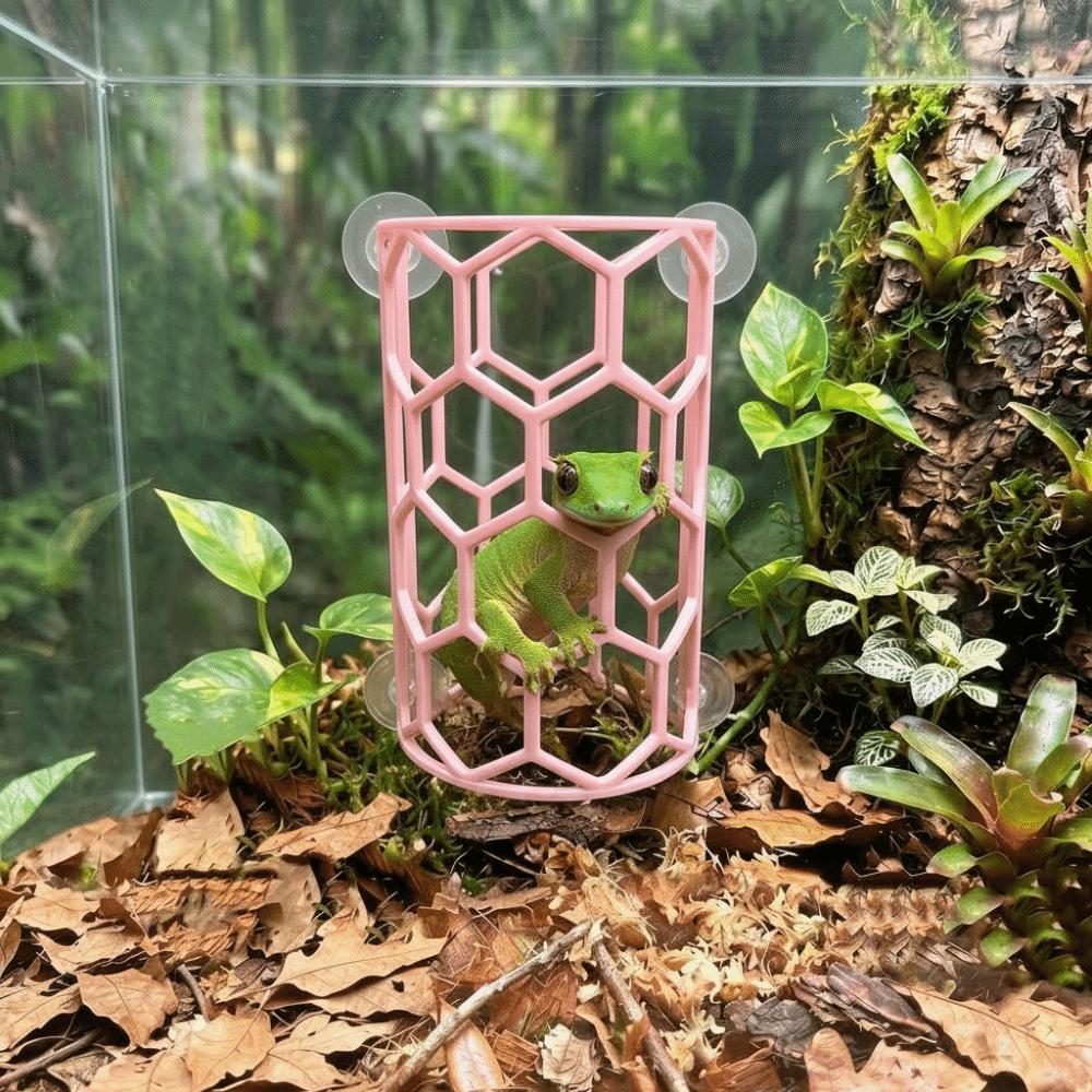 Plastic Reptile Climbing Shelf Honeycomb Design Lizard Toy Tunnel Reptile Hiding Cave Vivarium