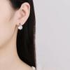 Cross-border e-commerce focuses on European and American diamond earrings with large stones, trendy zircon ear clips, and ear studs.