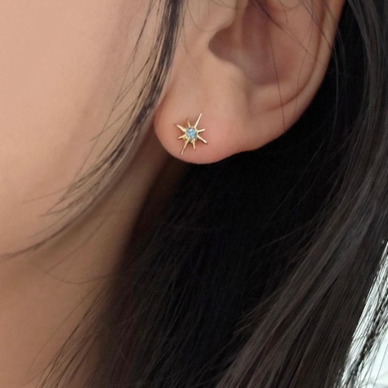 warmrecord Silver925 Like a Star White&Topaz Earring_E291