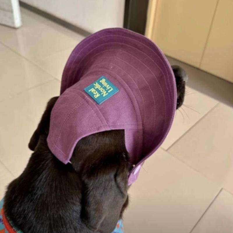 Companion Animal Shade Hat with Arched Bill Front and Pull Cord Wear for Bright Walks, Day Use, Park Days and Travel