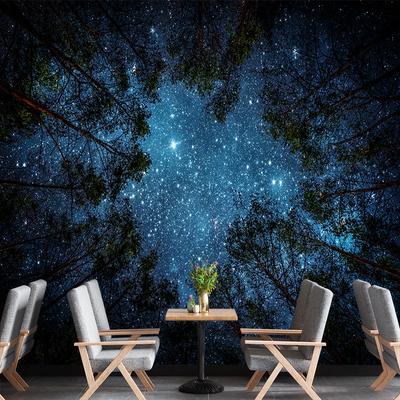 Papier Peint Mural Étoilé Ciel Galaxie Nuit Pour Salon Chambre Plafond Murals Galaxie