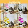 Phalaenopsis Basin Artificial Potted Plant For Home Office Decoration Wedding