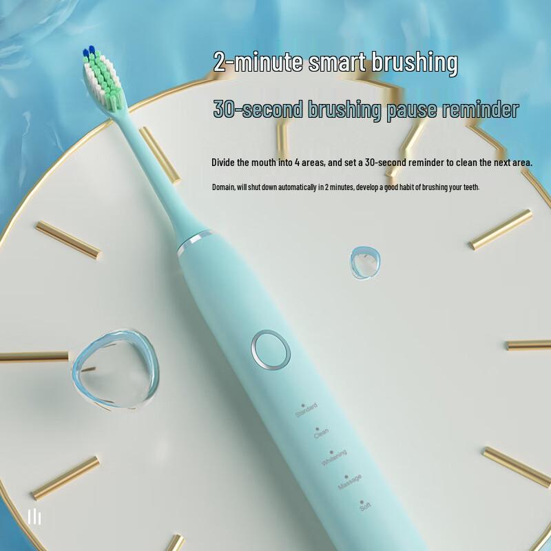 Qianbaimai T9 Sonic Electric Toothbrush