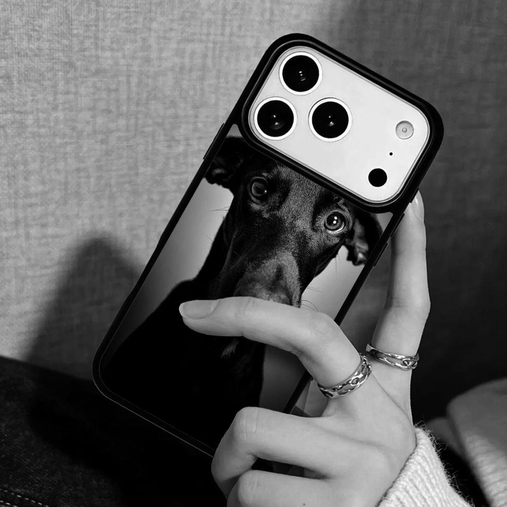 Hülle Case für iPhone 17 Air 16 Pro Max 15 Plus 11 13 Mini 14 12 Rückseite Handyhülle Tolles sitzendes Rehkitz Windhund Hund
