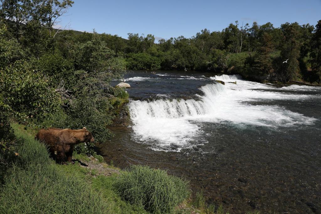 IS II USM EF24-105mm f/4L