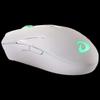 Dareu LM113 Wireless Office Mouse