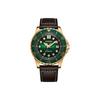Green Dial – matches the image