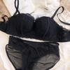 Sexy Lace Flowers Embroidery Underwear Set for Women Comfort Thicken Cup Push Up Bra Detachable Strap Top Bralette Lingerie Sets