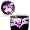 Submerged Flower Shift Knob Real Orchid Fresh Flower Artwork 9cm Purple / / / / [AUTOLAND]