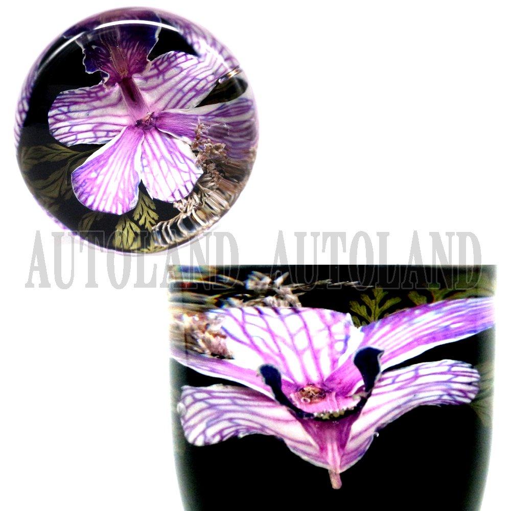 Underwater Flower Shift Knob / Real Orchid / Flower Artwork / 3.5 Inches (9 Cm) / Purple [Autoland/Autoland]