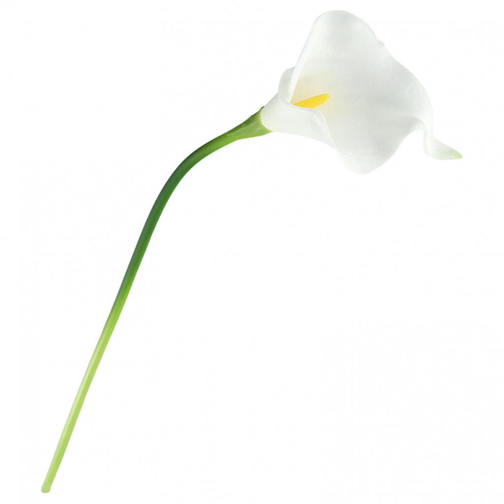 Photography Artificial Flower Washable Xmas Decoration 10pcs Indoor Outdoor
