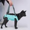 Lift Orthopädie Hunde Geschirre Canine Hüftunterstützung Beinstützen Geschirre für Nachoperationen Genesung