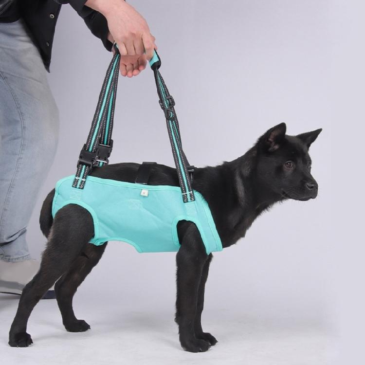 Lift Orthopädie Hunde Geschirre Canine Hüftunterstützung Beinstützen Geschirre für Nachoperationen Genesung
