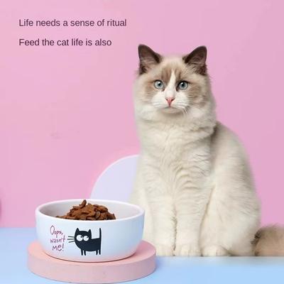 Cani – Distributori di cibo e acqua per gatti
