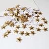 5 Packs Star Patches Iron On Patches Star Appliques Craft Supplies for Christmas Wedding Decoration Scrapbooking