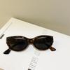New Style Small Cat Eye Sun Glasses Fashion Style Women's Oval Eyeglasses Vintage Style Brand Elliptic Sun Eyeglasses for Female Shades UV400