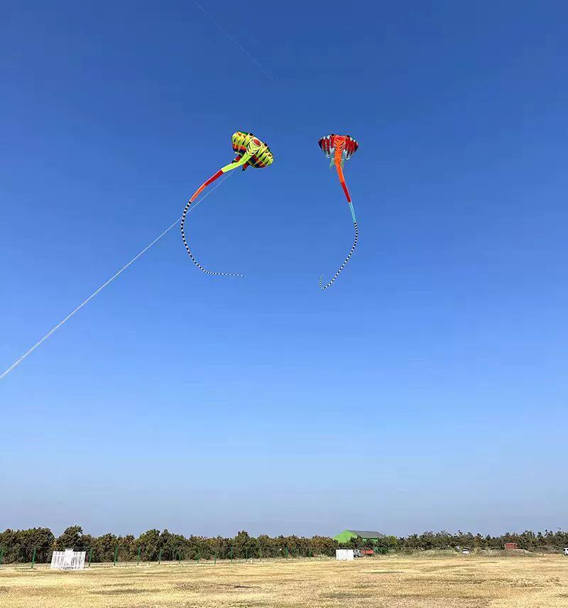 Weifang 3D Měkký Paprskový Drak: Snadno létající dospělý drak s dlouhým ocasem