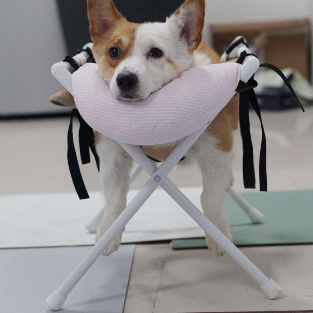 Folding Cat Bathing Rack Breathable Quick-Dry Mesh Pet Washing Station Anti-Bite Detachable Nail Clipping Table Pet Care