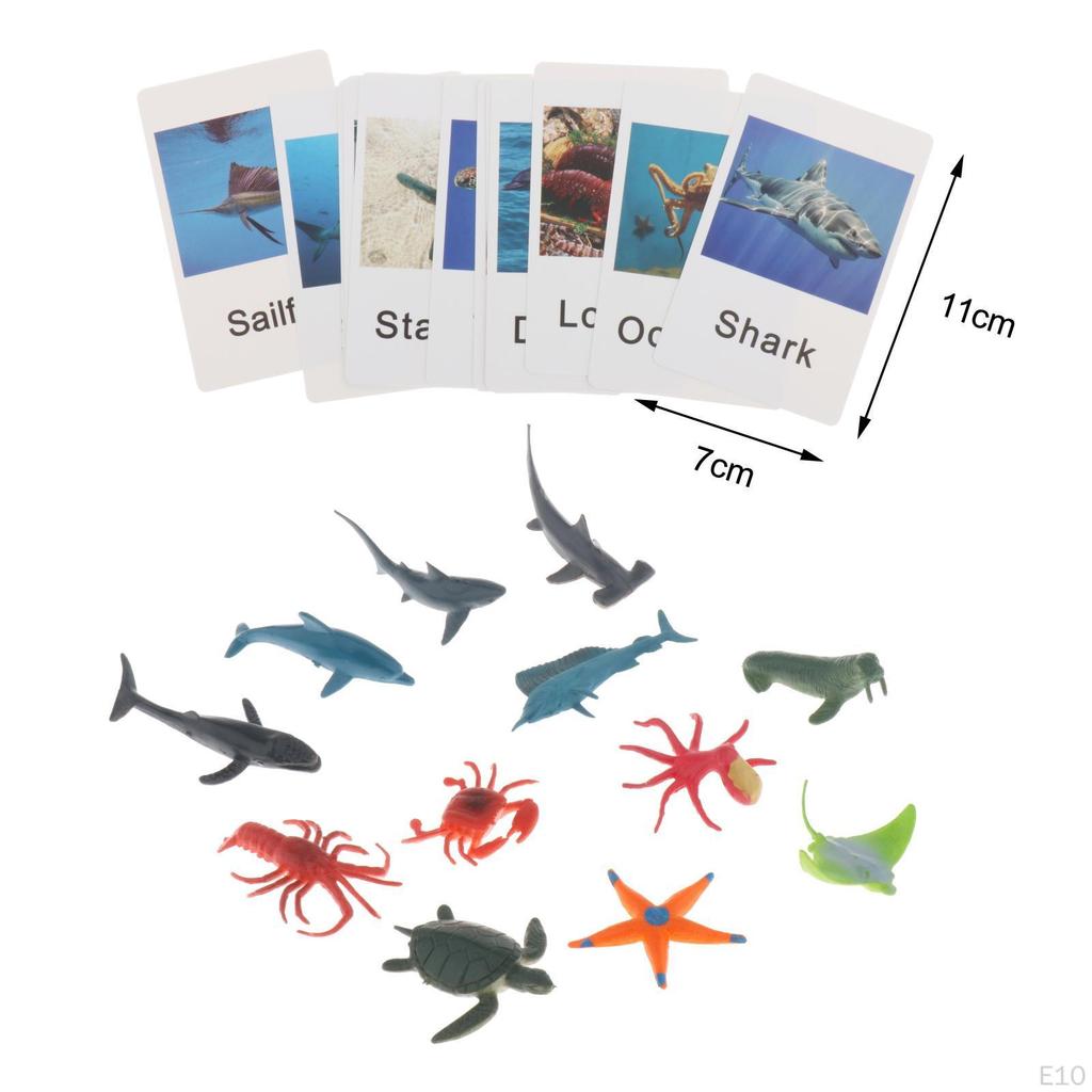 Montessori Animal Figures with , Language Materials, Realistic Figures, Toys for Preschool