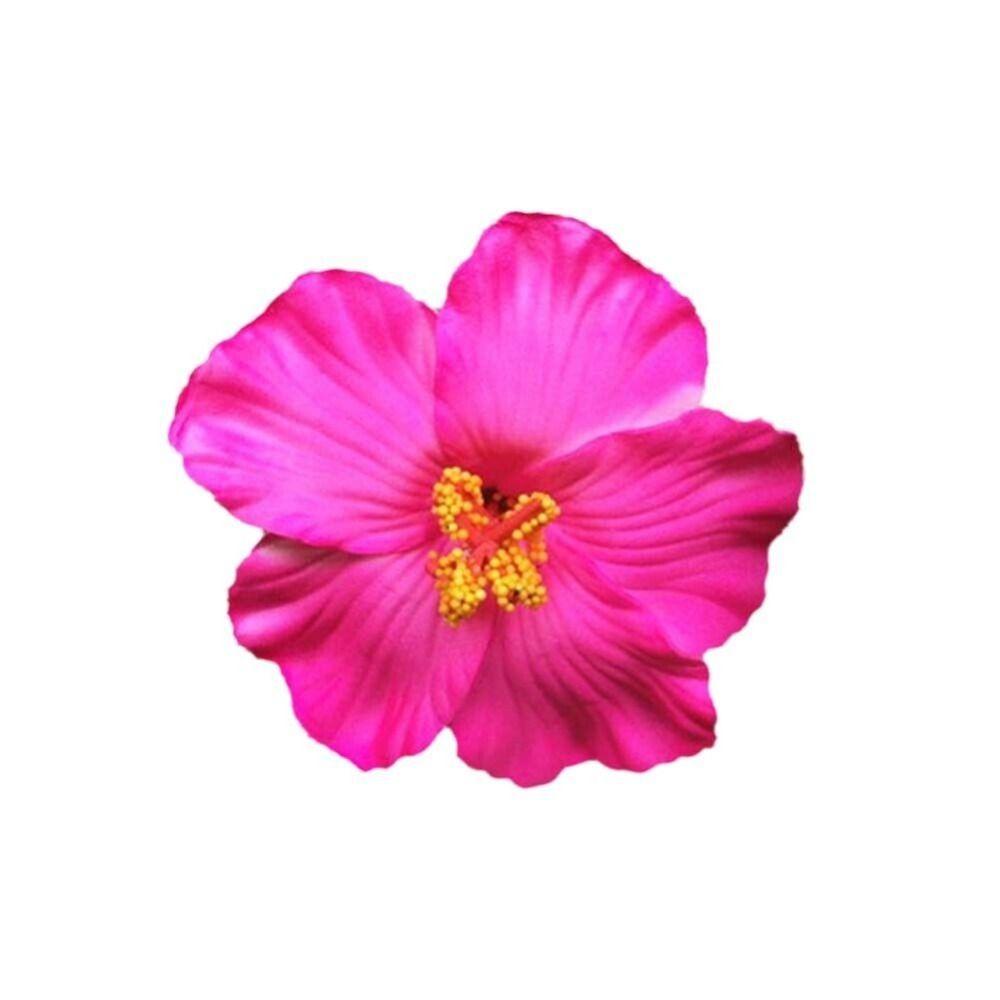 Headwear Hawaiian Flower Hair Clips Side Bangs Clip Hair Accessories Artificial Flower Clips Romantic