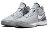 Nike Zoom LeBron Nxxt Gen 'Wolf Grey Metallic Gold' DR8784-004