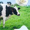 Milch Duschgel SADOER Feuchtigkeitsspendend Glättend Reinigend Duftendes Duschgel