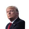 U.S. Presidential Election Car Window Stickers (left and Right Styles) Easy Peel Off Decor Decals Water and Weather Resistant