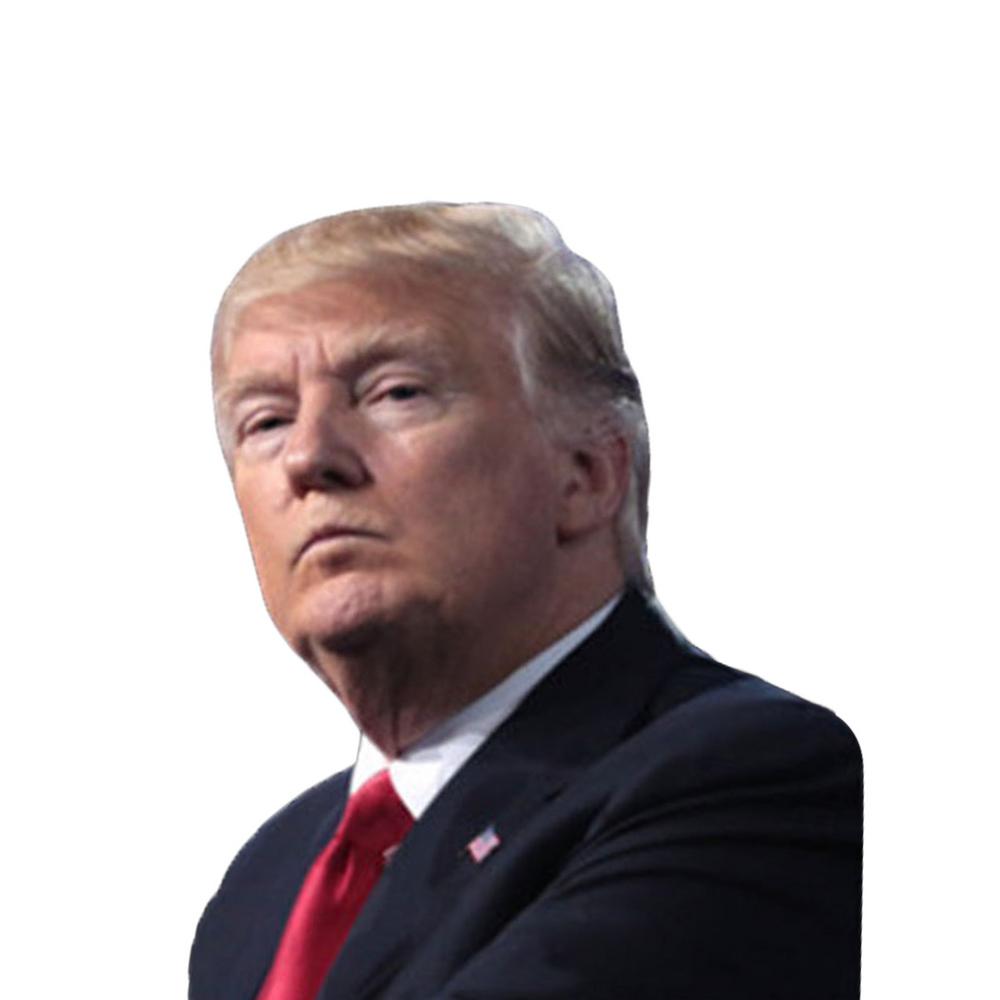 U.S. Presidential Election Car Window Stickers (left and Right Styles) Easy Peel Off Decor Decals Water and Weather Resistant