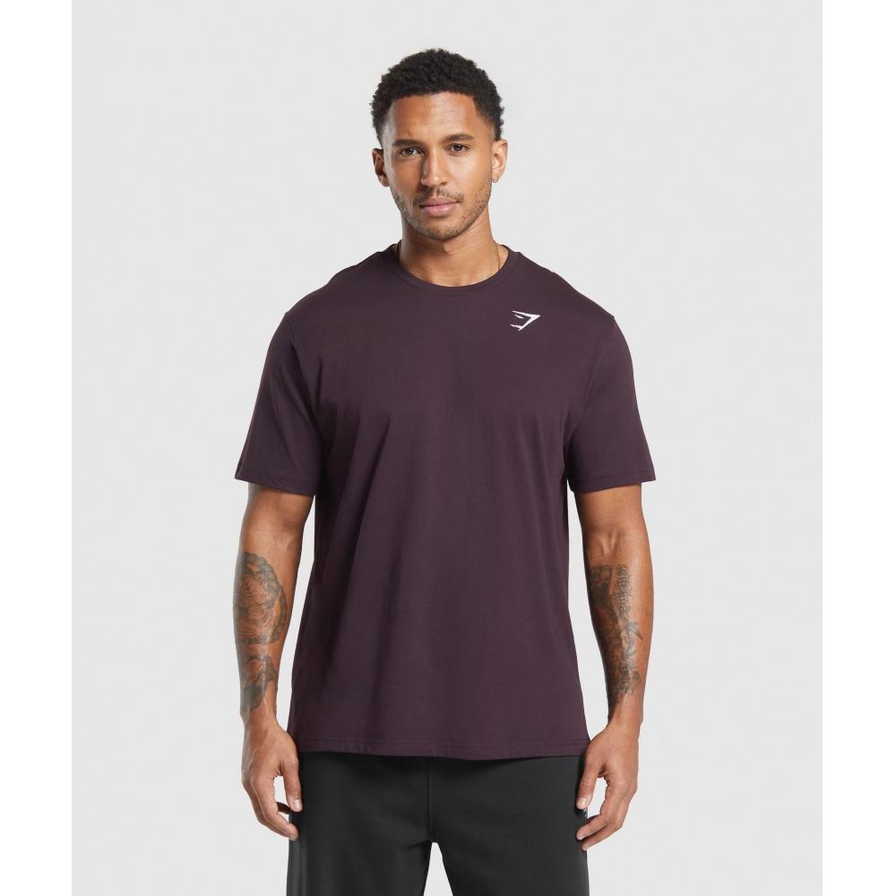 

Gymshark Футболка CresT, цвет сливы и коричневого A1a3j Nbzn XL