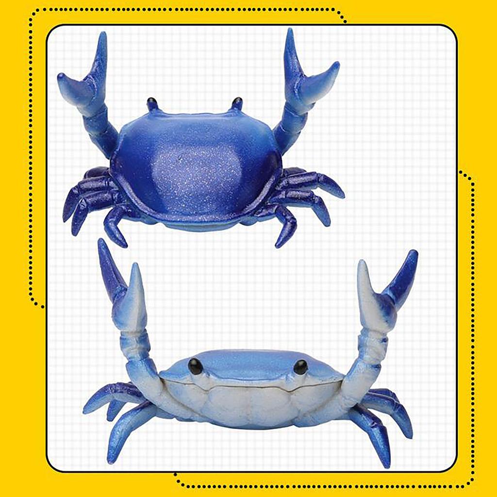 Creative Cute Crab Pen Holder Vektløfting Crabs Penholder Oppbevaringsstativ Gave