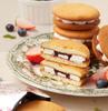 Orion Fresh Berry 12pcs (Strawberry Banana / Strawberry / Melon / Yogurt Berry / Peach)