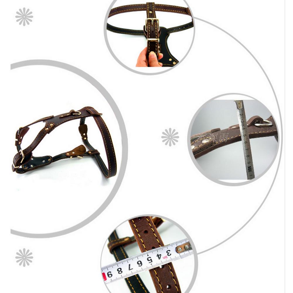 Pet Products Genuine Leather Dog Vest Harness For Medium Large Dog Pets Professional Dog Vest Collar Hand Chest Straps