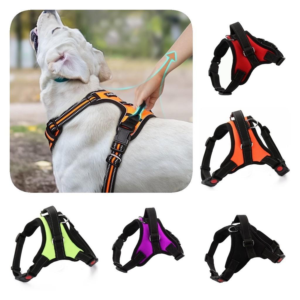 Small And Medium-sized Dog Harness Easy To Put On And Take Off With Adjustable Straps