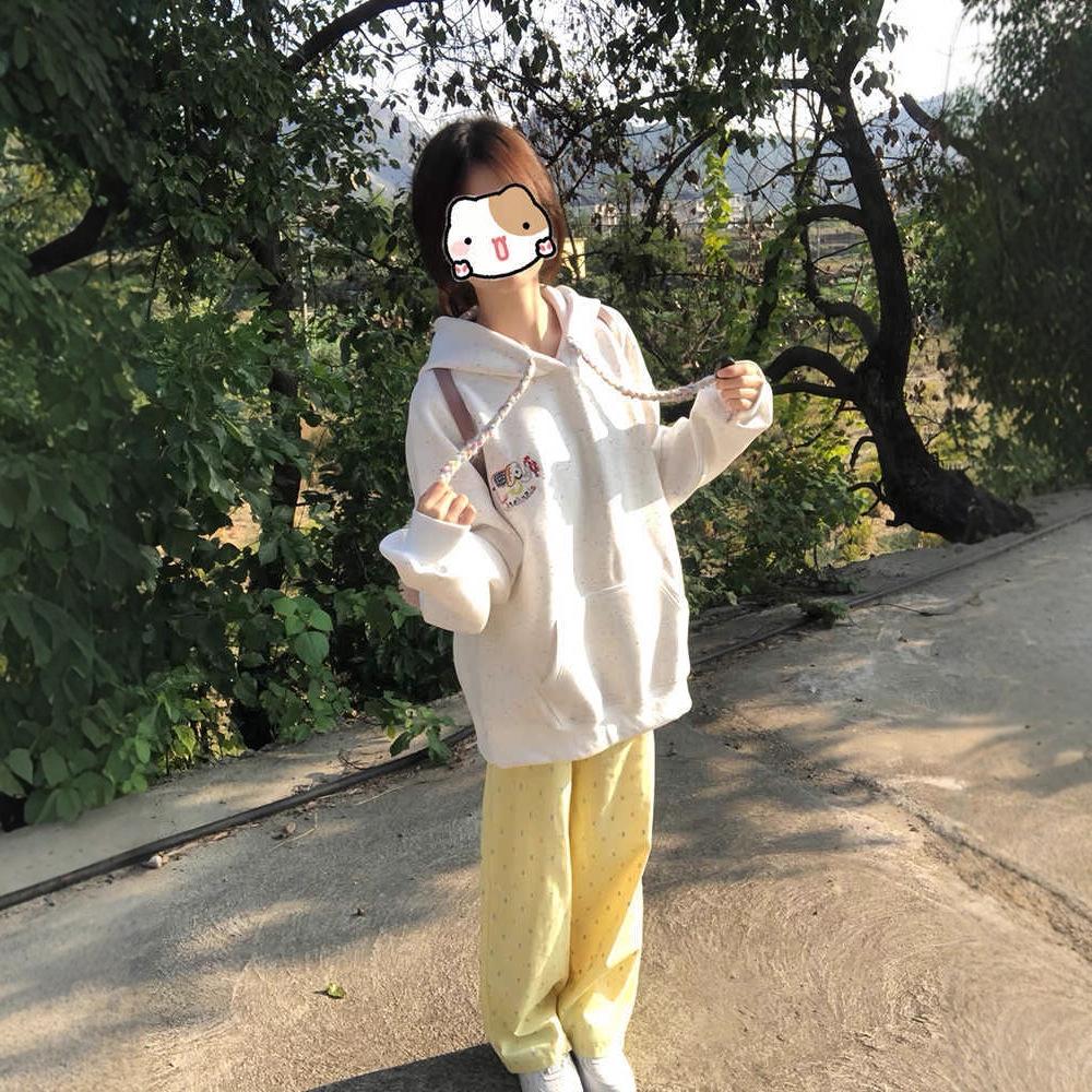 American retro color dot baby elephant embroidered hooded sweater women's velvet thickened design niche coat
