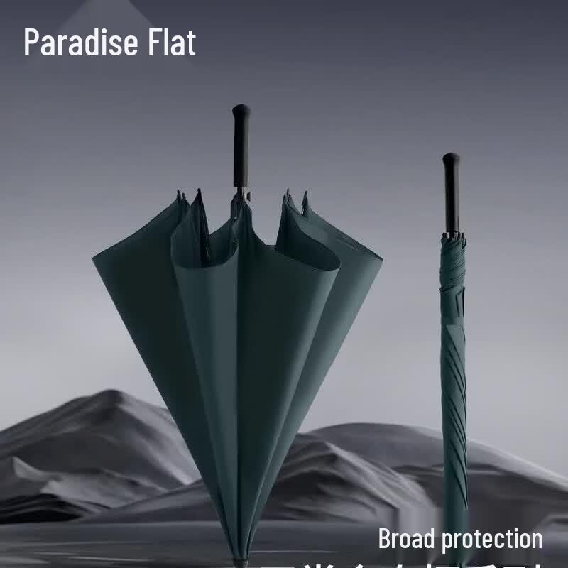 Tiangtang Business Long-Handle Umbrella 13024E