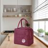 Large Insulated Lunch Bag, Thick Aluminum Foil, Multi-Functional & Cute Design for School and Picnics