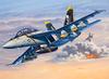 Revell 1/72 scale US Navy F/A18F Super Hornet Jolly Rogers plastic model kit, model number 03834, molded in color