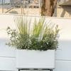 Self-watering Planter Deroma Pearl 78 X 38 X 39 Cm Plastic Rectangular Ø 78 Cm