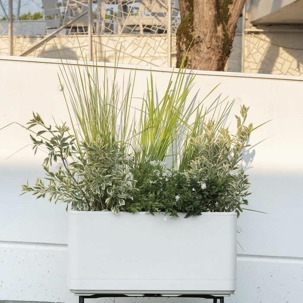 Self-watering Planter Deroma Pearl 78 X 38 X 39 Cm Plastic Rectangular Ø 78 Cm